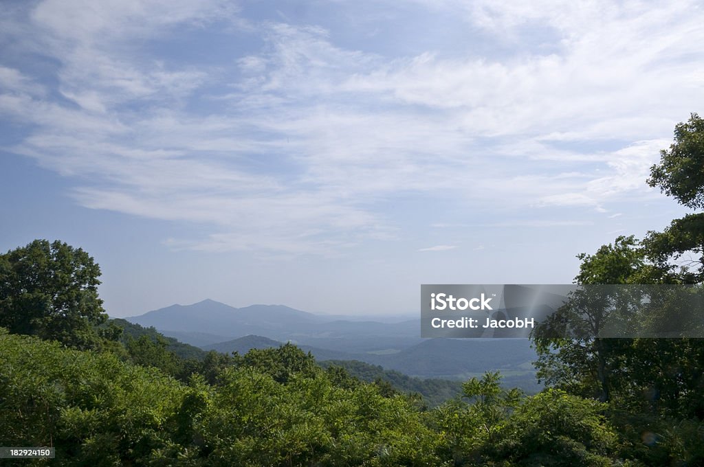 Montagnes Blue Ridge - Photo de Arbre libre de droits