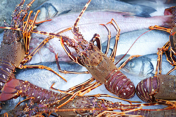 istock Lobsters and fishes 182924371