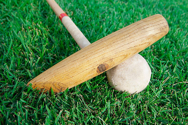 istock Polo and Mallet on Grass Field 182924853