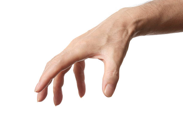 격리됨에 슛 남성 손 (흰색 배경 - hand sign human arm human hand holding 뉴스 사진 이미지