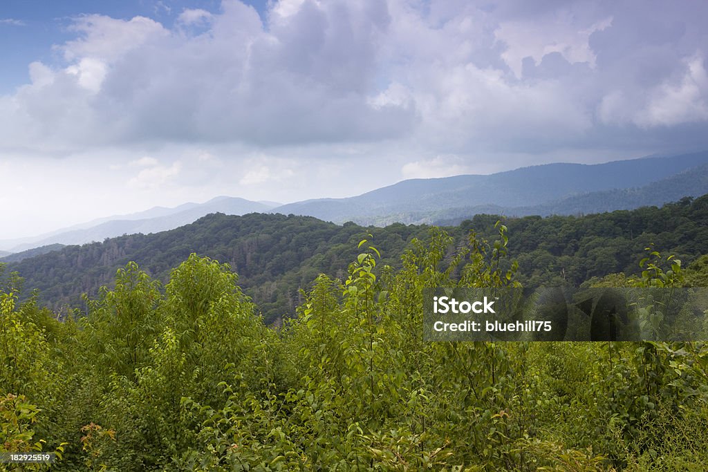 Graeat parque nacional de las Montañas Great Smoky - Foto de stock de Parque nacional Great Smoky Mountains libre de derechos