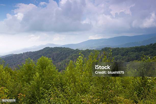 Foto de Graeat Smoky Mountains National Park e mais fotos de stock de Parque Nacional das Great Smoky Mountains - Parque Nacional das Great Smoky Mountains, Appalachia, Azul