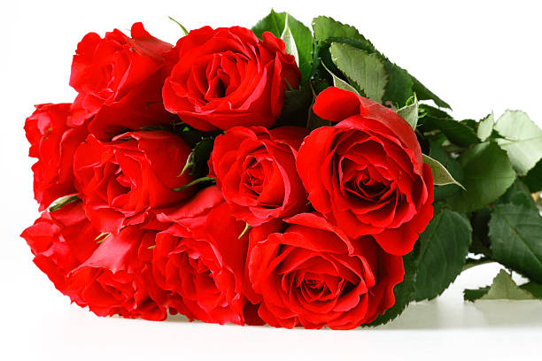 istock Red Roses Bouquets Isolated on White 182925637
