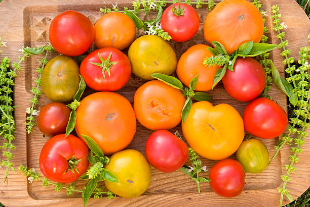 地元のオーガニック野菜、エアルームトマト、新鮮なサマー農産物ハーヴェスト - heirloom tomato homegrown produce tomato organic ストックフォトと画像