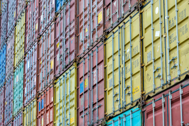 Commercial docks worker examining containers.