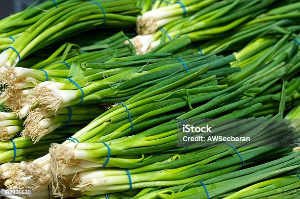 Зеленый лук фото Зеленый лук фото