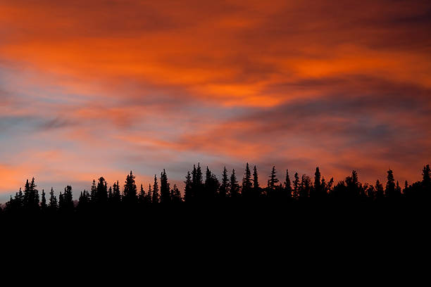 istock Sunrise over forested Mount Evans Wilderness, Colorado 182926724