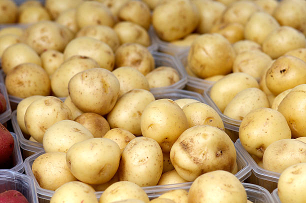 istock Potatoes on a Farmer's Market 182926825