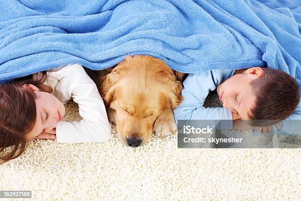 Niño Y Niña Y Perro Durmiendo Cubierto Con Un Edredón De Plumas Foto de stock y más banco de imágenes de Niño