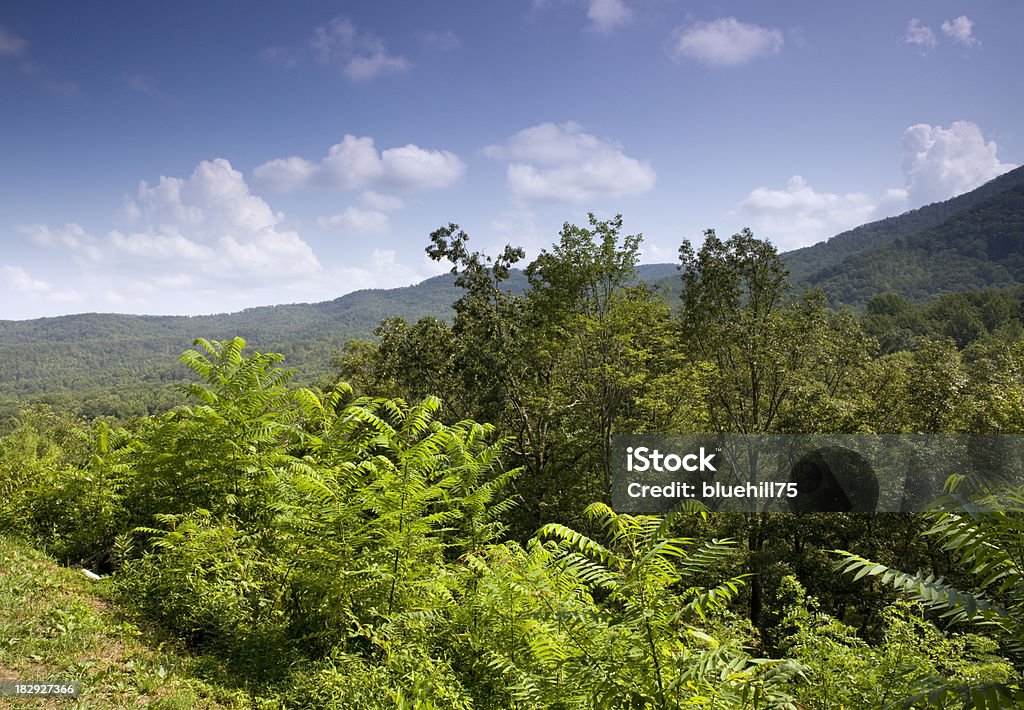 Smoky montagne - Foto stock royalty-free di Parco Nazionale Great Smoky Mountains