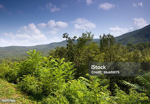 Smoky Mountains 그레이트 스모키 산맥 국립 공원에 대한 스톡 사진 및 기타 이미지 - 그레이트 스모키 산맥 국립 공원, 0명, 경관