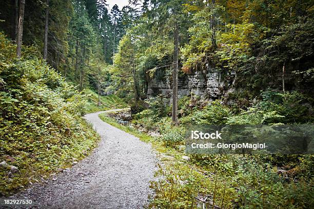 Foto de O Sinuoso Caminho Através Da Floresta Enevoada Dolomitas No Verão e mais fotos de stock de Alpes europeus