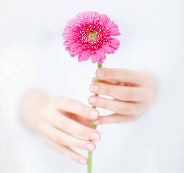 istock Close-up of human hands holding a flower 182927671