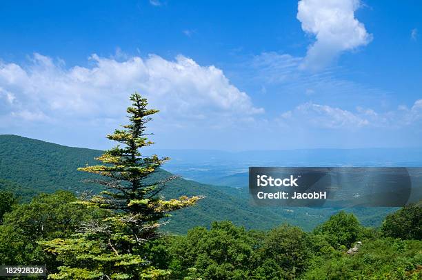 Blue Ridge Mountains - zdjęcia stockowe i więcej obrazów Australijski Outback - Australijski Outback, Bez ludzi, Blue Ridge Parkway