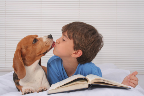 Kid kissing his dogSome other related images: