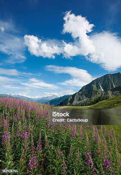 Alpine Landschaft Stockfoto und mehr Bilder von Alpen - Alpen, Berg, Berg Mont Blanc