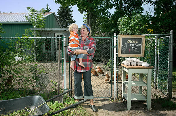 istock Organic eggs for sale 182928944