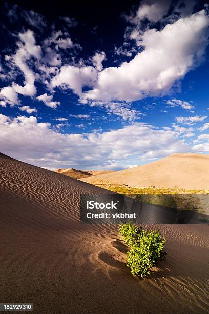 Bruneau Дюны Государственный Парк — стоковые фотографии и другие картинки Bruneau Dunes State Park - Bruneau Dunes State Park, Штат Айдахо, Август