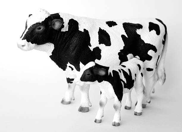 istock Cow and her calf (toys) 182931148
