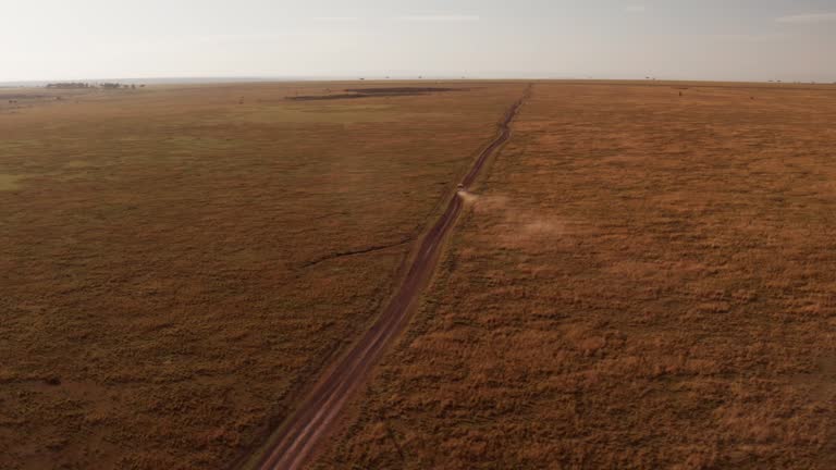 Aerial drone shot of Safari Vehicle Driving in Beautiful Savanna Landscape in Maasai Mara National Reserve, Kenya, Africa with Savannah Scenery, Masai Mara North Conservancy