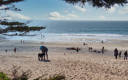 Carmel, United States - February 18 2020 : people are walking on the beach of Carmel and enjoying the panorama while unleashing a dog