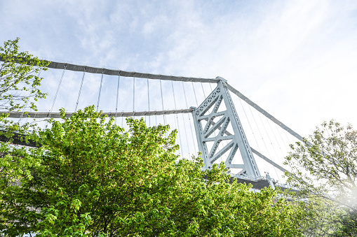 Ben Bridge of Philadelphia. Summertime