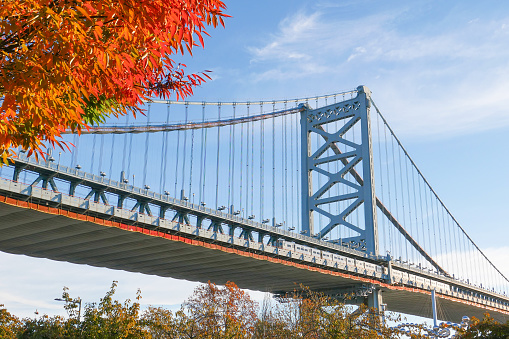 Ben Bridge of Philadelphia. Autumn.