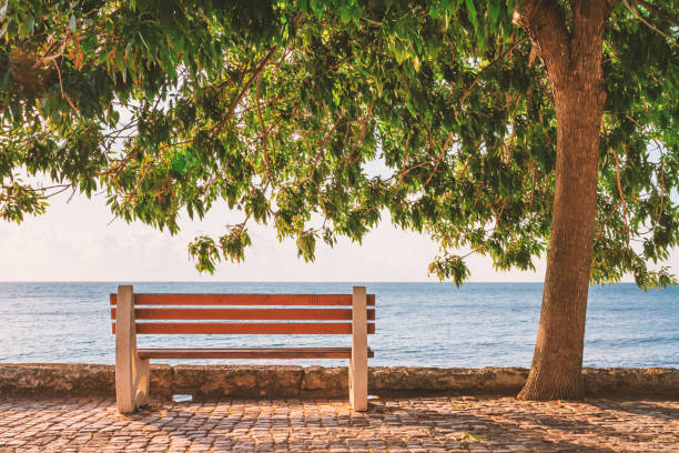 istock Seaside landscape - bench on the waterfront with sea view 1829386989