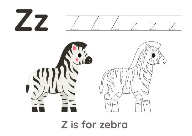 Vector illustration of Tracing alphabet letters with cute animals. Color cute zebra. Trace letter Z.