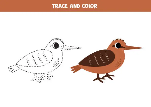 Vector illustration of Trace and color cartoon woodcock bird. Worksheet for children.