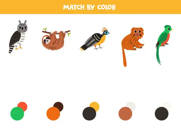 Vector illustration of Match South American  and colors. Educational worksheet for kids. Cute cartoon harpy eagle, sloth, hoatzin, tamarin and quetzal.