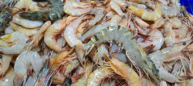 Heap of raw shrimps from the mediterranean sea for sale at fish market, full frame background
