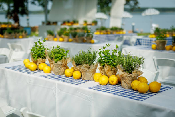 istock A rustic summer table with fresh lemons and herbs on a checkered tablecloth. 1829479103