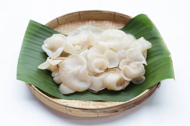 istock White jelly mushroom or white ear mushroom 1829498527