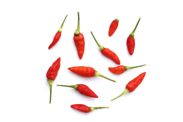 istock Fresh chili peppers on white background 1829499066
