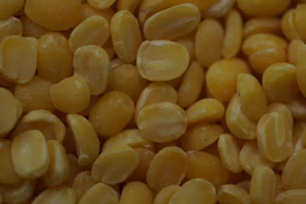 Mung bean , protein rich legume, close up view
