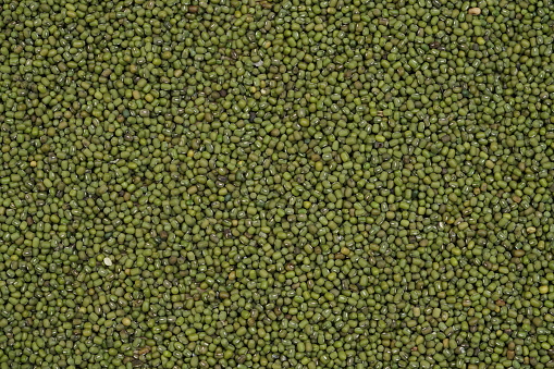 Mung bean seeds , close up view