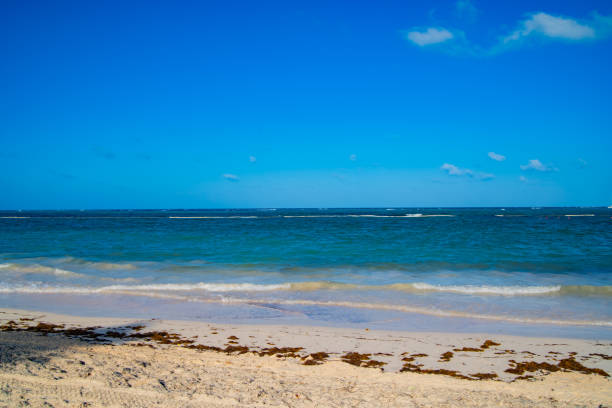istock Blue ocean in Punta Cana, Dominican Republic 1829551399