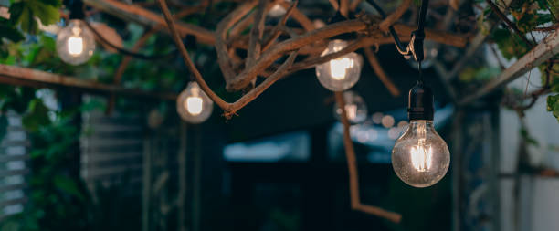 istock vintage light bulb hanging from grape tree for decoration outdoor garden. 1829551429