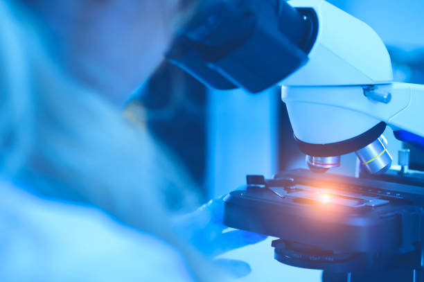 istock The scientist handed in blue gloves looking under a microscope to analyze the test sample. Medical Science Laboratory. 1829551969