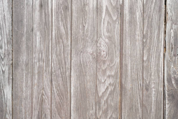 istock The background is an old wooden floor with patterns from age and decay. 1829625878