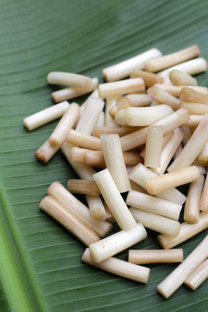 istock Fresh lotus rootlet on banana leaf 1829653806