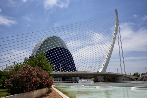 Assut de l'Or Bridge is a dazzling white single-pylon cable-stayed bridge, located in the City of Arts and Sciences complex, Valencia, Spain. L'Àgora in the background.