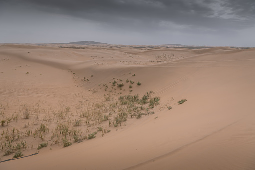 Badain Jaran Desert, the third largest desert in China, located in Inner Mongolia, China. Horizontal background with copy space for text