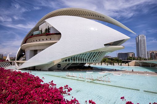 The Reina Sofia Art Palace in the City of Arts and Sciences complex, Valencia, Spain. It was designed by Santiago Calatrava architect.