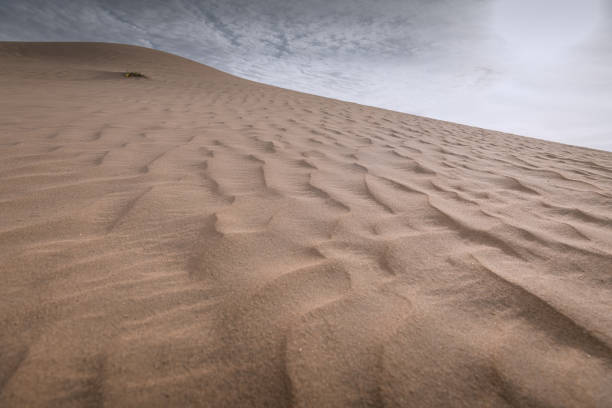 Close up view on the waves of the sand created by the wind in the desert of Inner Mongolia, China. Background image with copy space for text
