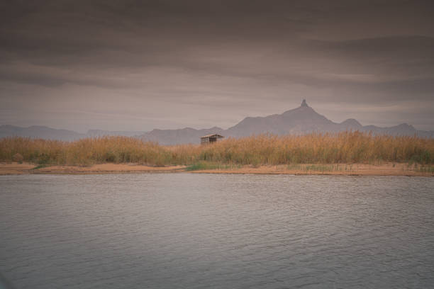 The river around the desert in Inner Mongolia, China. Copy space for text, background