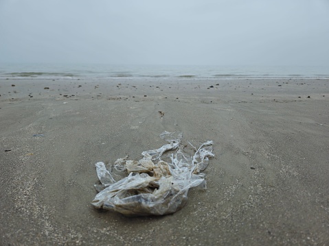 Clear Plastic Material Polluting Beach