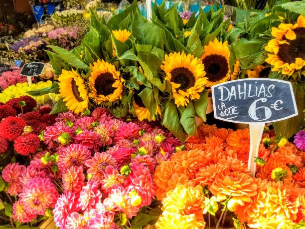 istock The Flower Market 1829758028