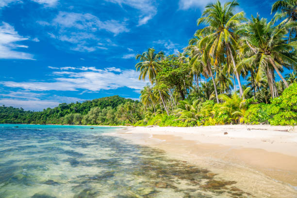 istock Beautiful tropical island beach Ko Kut, Trat Thailand. 1829773697